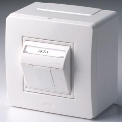 DKC  Белый  Коробка в сборе с 1 розеткой RJ45, кат.5е (телеф. /комплект) 10665